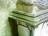 image of grave number 293794